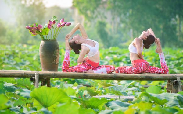 江乐成沈初夏什么小说 江乐成沈初夏全文免费阅读