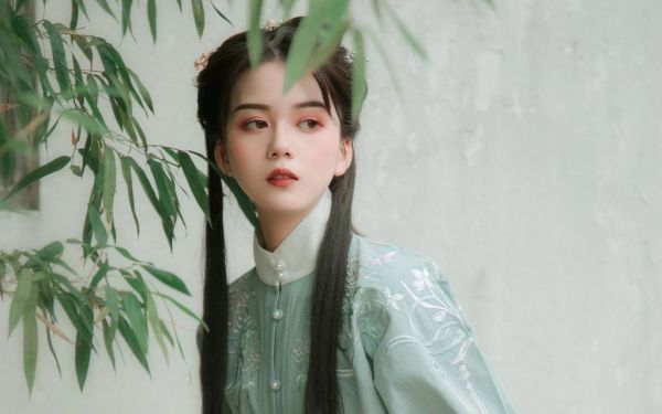 完结小说《重生成虎，无敌从暴揍狮王开始》江风小萌全文免费阅读