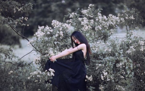 《江诗予贺云舟小说》无弹窗全文免费阅读