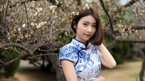 槲既生花情自灭小说免费看 邢依依苏婉儿完整版在线阅读