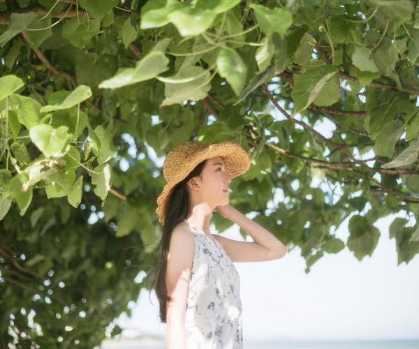 妻子送助理结婚体验卡后，我回了京圈豪门小说陆宸沈听晚大结局小说全文阅读