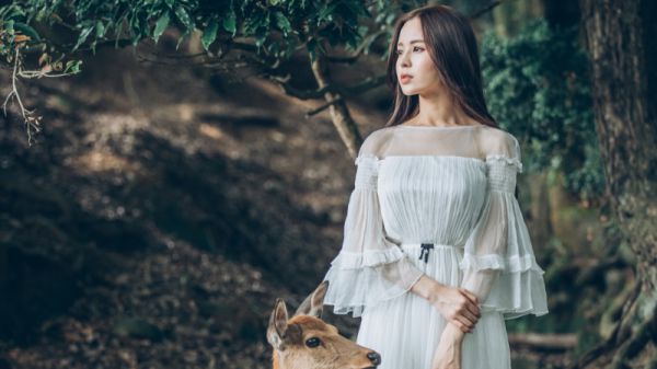 退婚：小说全文+后续在线阅读全文 温暮顾让小说完整版