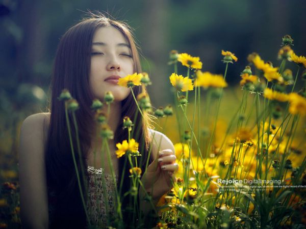 顾陆斐免费阅读目录 顾陆斐小说全文