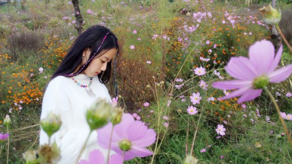 陆其琛沈慕芸最后结局 陆其琛沈慕芸完结版免费阅读