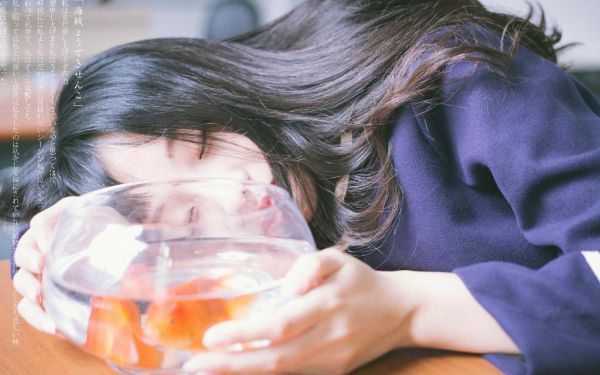 凌珞烟萧若珣凌珞烟萧若珣无弹窗全文免费阅读