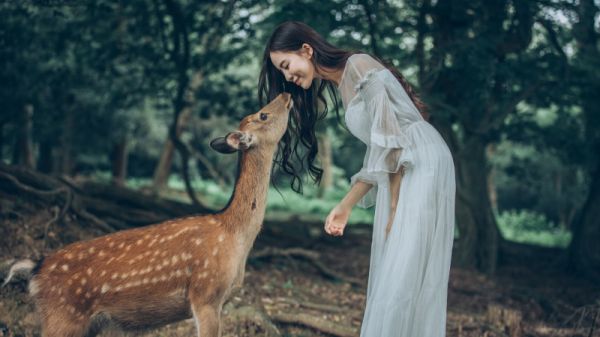 《婚礼当天小舅子逼我投资》by飞天小猪(林雪李越)无广告免费阅读