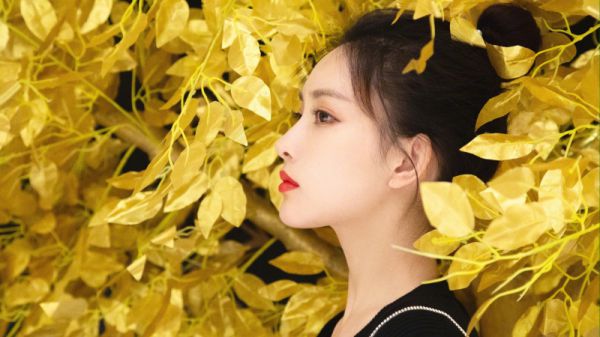 陆泽远林长缨哪里可以看 陆泽远林长缨免费阅读第3章