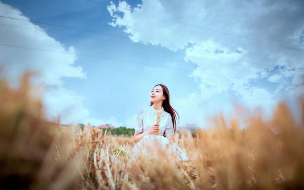 《林若若姜知夏小说》无弹窗全文免费阅读