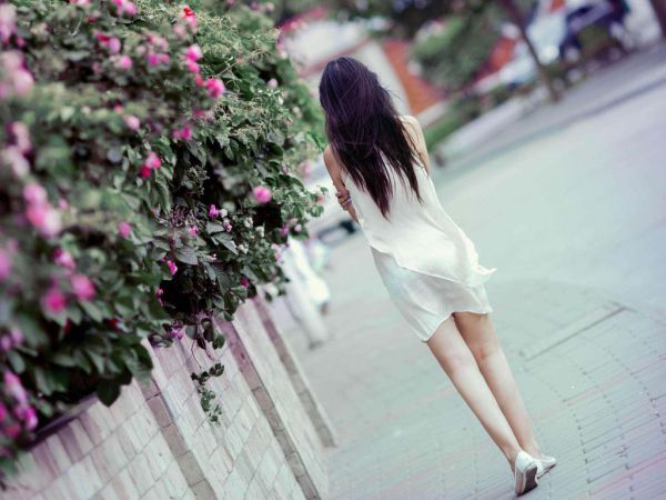好看的小说《丈夫爱上女学生后》夏暖苏晓婉全文免费阅读
