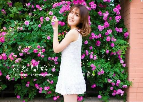 顾廷之沈嘉月小说完结版免费阅读 他的心跳止于盛夏最新章节无弹窗