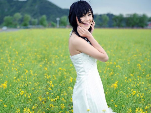 主角是杨楚词陆长泽的小说免费阅读全文大结局