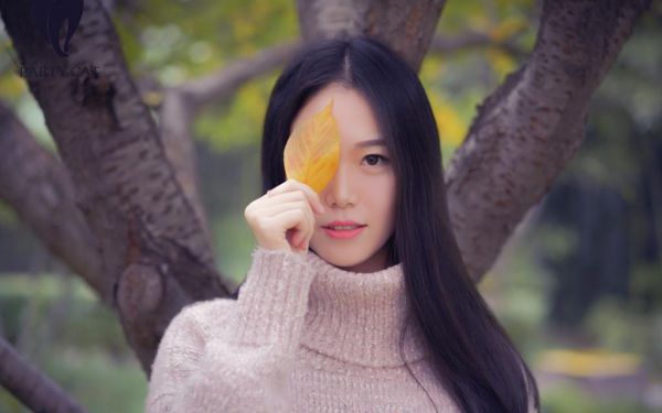 主角沈聿珩南语小说免费阅读最新章节