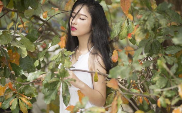 周清璃苏锦棠免费小说 周清璃苏锦棠在线阅读