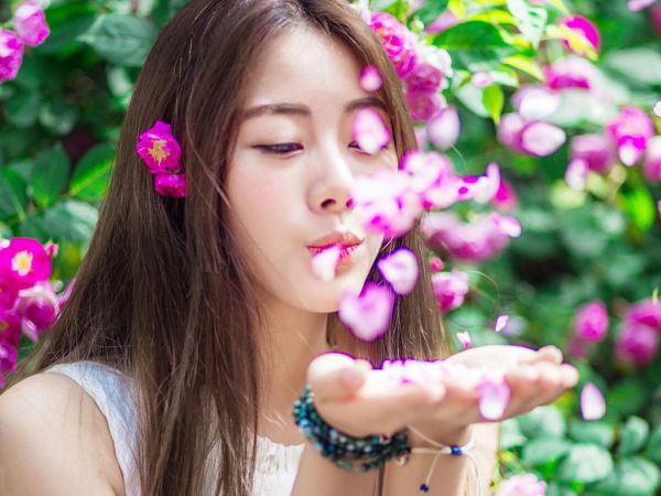 (抖音小说)林奉瑜苏晴溪小说全文阅读免费