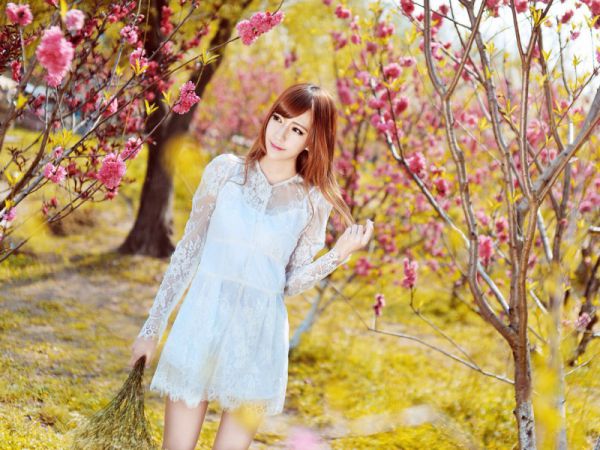傅时砚乔曼云全文免费阅读最新 傅时砚乔曼云第2章
