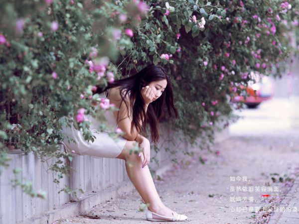 阿森唐棠结局是什么 阿森唐棠免费阅读全文