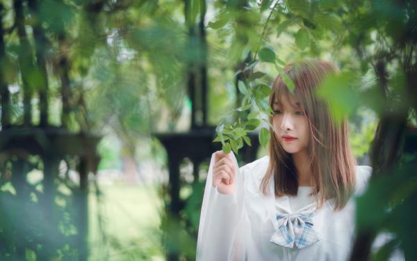 老公的私生子占了女儿的学位小说在线阅读 许纯何宇小说章节目录