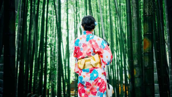 主角叫沈初宜谢覃的小说 开学后，我成了校草的心尖宠小说免费看