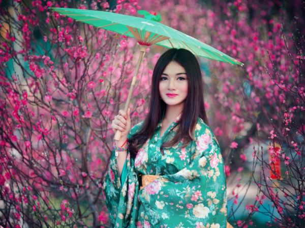 陆焉知秦放小说全免读 陆焉知秦放在线阅读