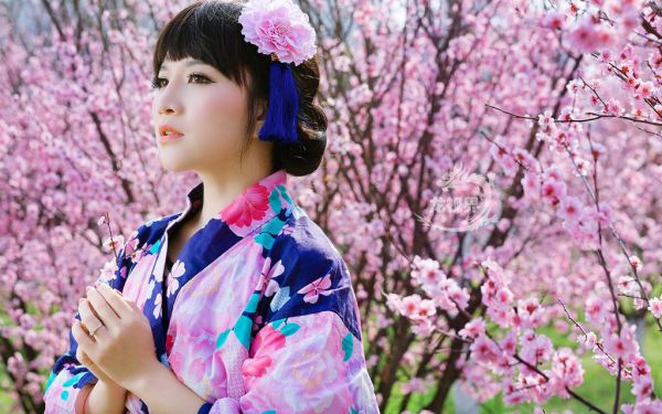 江薇林淼淼小说在线阅读 江薇林淼淼最新章节目录