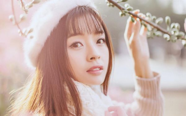 沈淮安小说阅读 沈淮安全文免费无广告