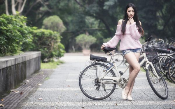 秀娟陈向东小说在哪里看 秀娟陈向东在线阅读第1章