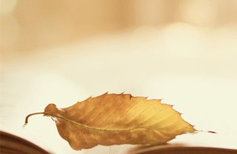 主谓一致：不确定数量的名词作主语