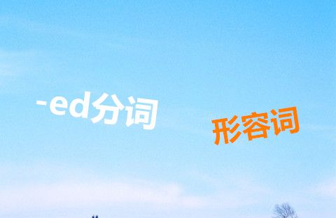 它们是过去分词，也是形容词
