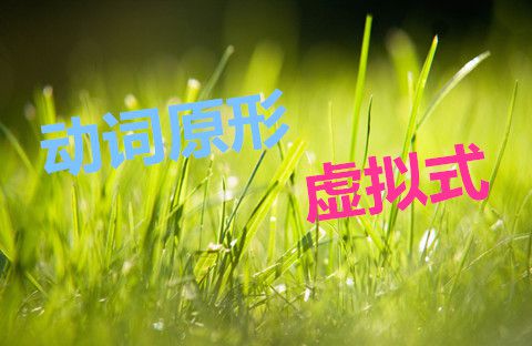 虚拟句用法大全