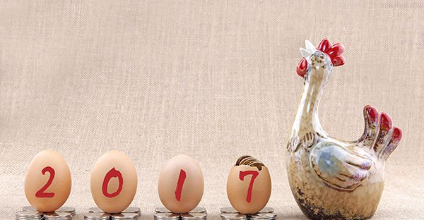 “鸡年”到底怎么说？Chicken？Rooster？
