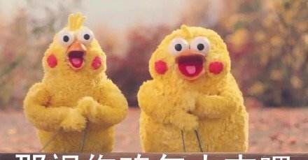 “鸡年”到底怎么说？Chicken？Rooster？