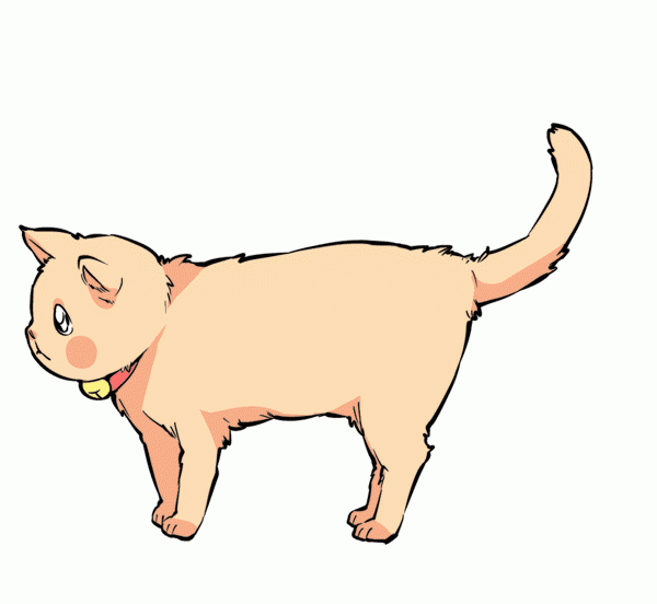 不知道猫咪在想什么？看尾巴秒懂！（下）