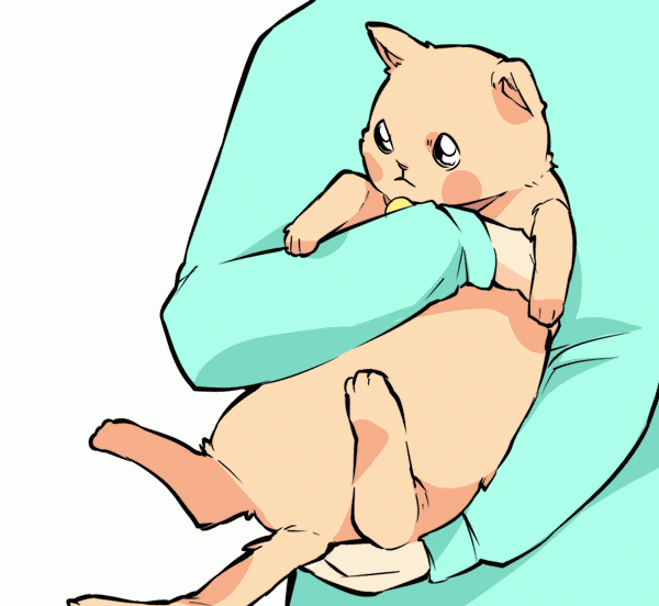 不知道猫咪在想什么？看尾巴秒懂！（下）