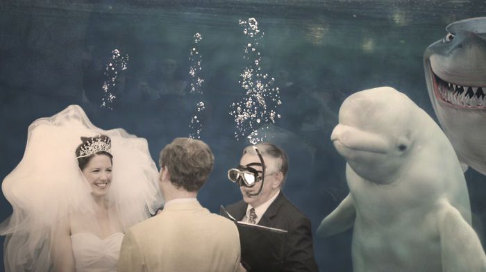 小夫妻跑水族馆结婚，结果旁边的鲸鱼火了