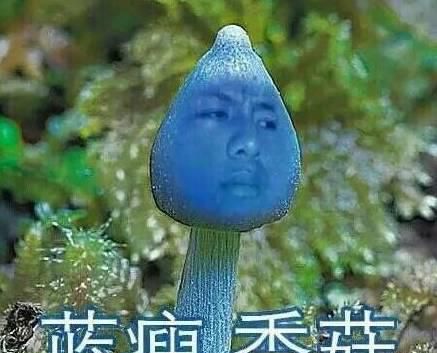 外媒：