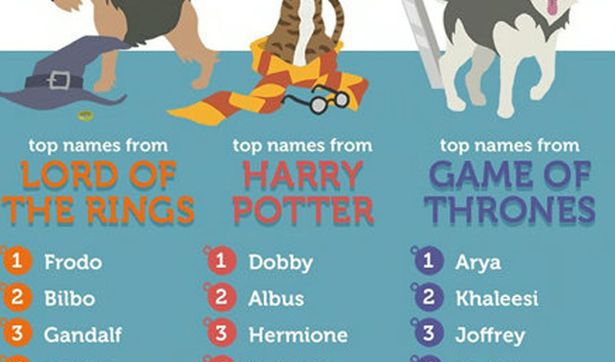 英国人最爱给宠物起啥英文名？TOP10接好了