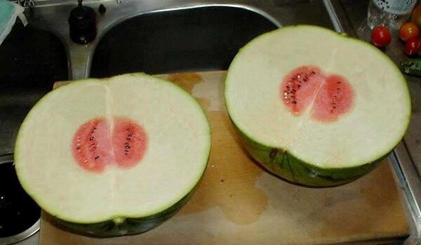 强行励志：如果觉得自己很没用 看看这些图