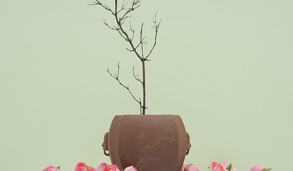 智慧人生:拖船的哲理