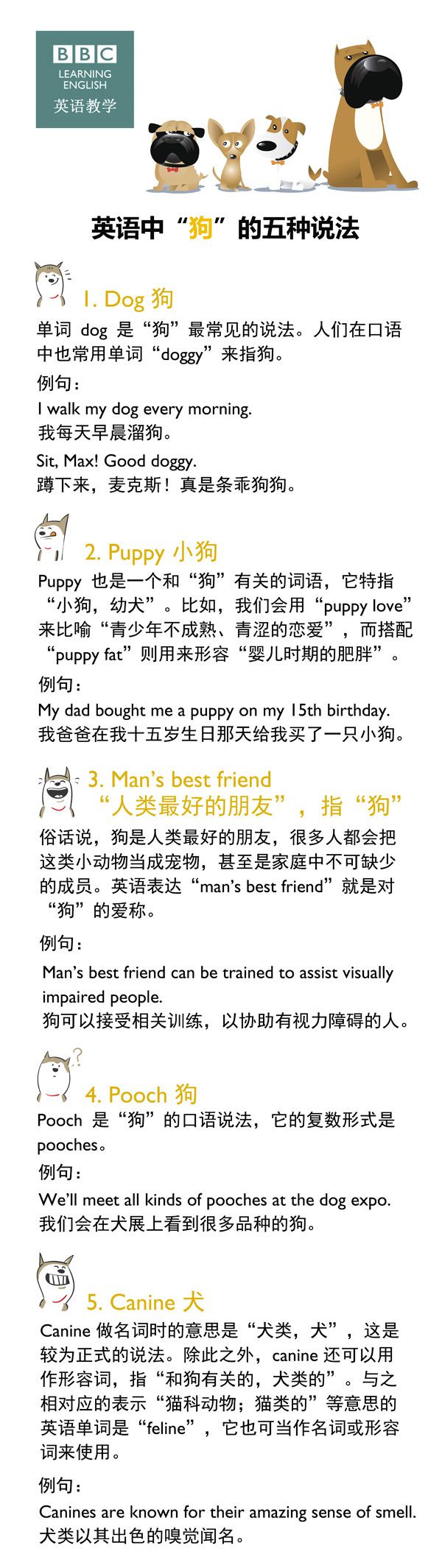 英语中“狗”的五种说法