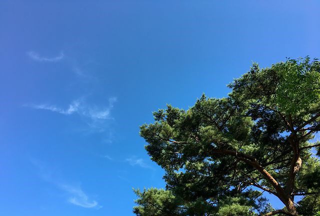 大学生经典双语演讲稿：享受生活，牢记使命
