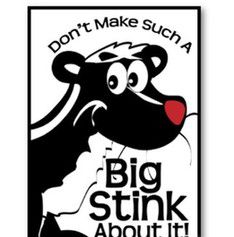 Make a big stink 大吵大闹