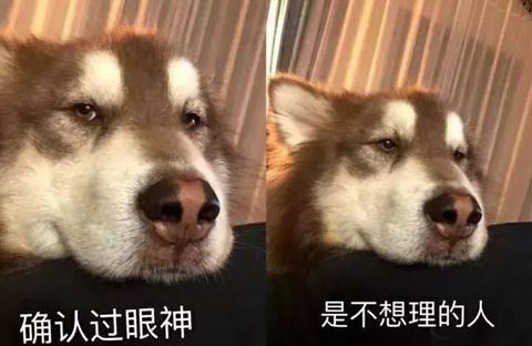 如何用英文聊“确认过眼神”这个梗？