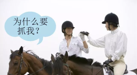 “抓马”到底是什么意思？和“马”有啥关系？