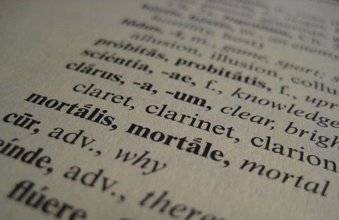 举一反三 英语中常见的50个拉丁语词根