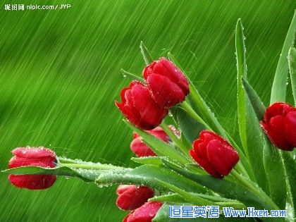 经典情诗:不要再问我