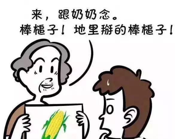 除了四六级，我还建议你们把这6个证给考了