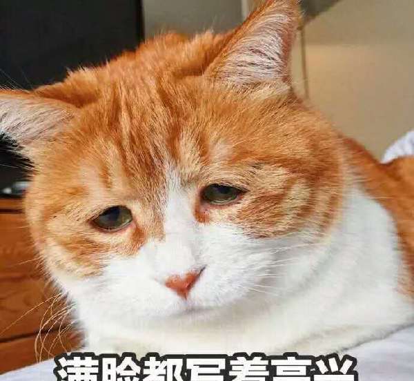 英语四六级写作经典句型归纳