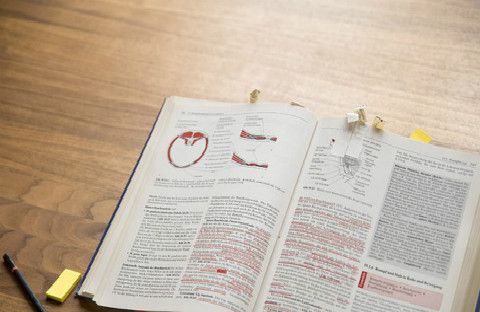 17年5月英语四六级口试成绩什么时候出来？