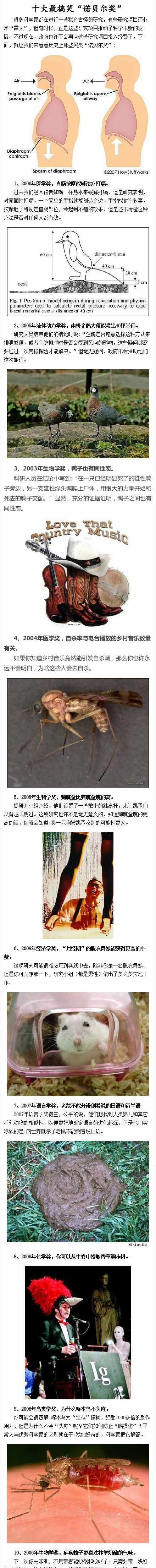 十大最搞笑的“诺贝尔奖”