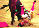 July:Pamplola Bull-running Fiesta(西班牙奔牛节)